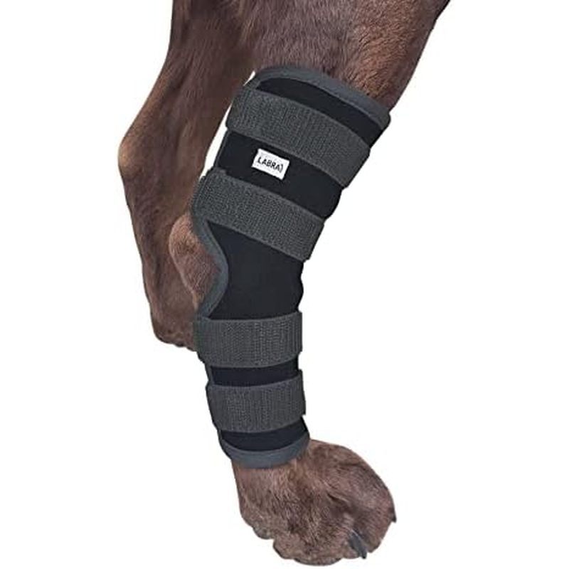 Labra Dog Rear Leg Hock Joint Compression Wrap - Supportive Brace for Weak Back Legs, ACL Tear, and Joint Discomfort - A