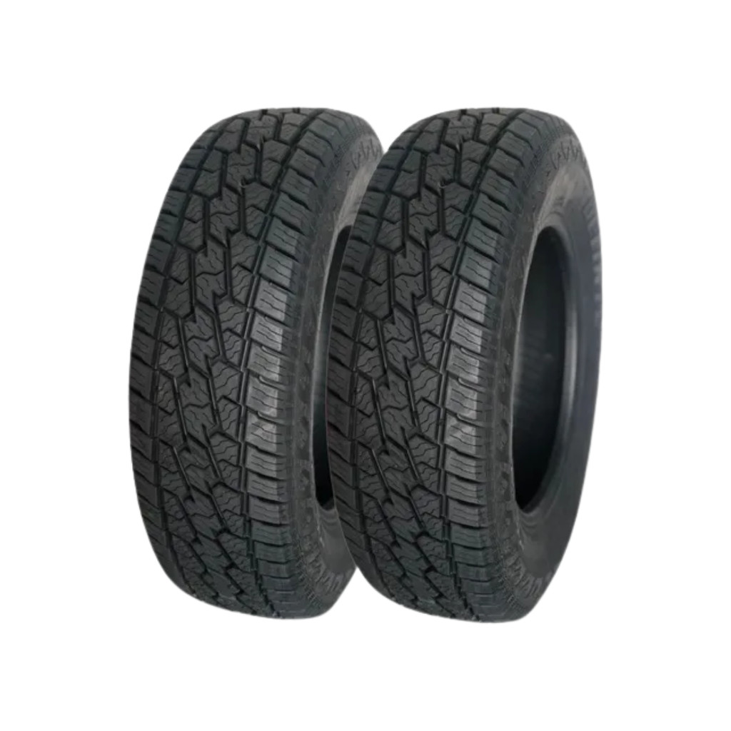 Kit 2 Pneus Delinte Aro 16 225/70 R16 103T DX-10 A/T BANDIT