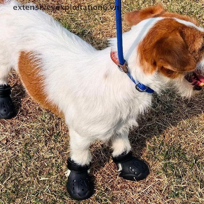 exten 4 Pçs Sapatos Para Cães À Prova Dwaterproof Água Verão Sandálias Antiderrapante Leve Botas De Estimação Ao Ar Livr