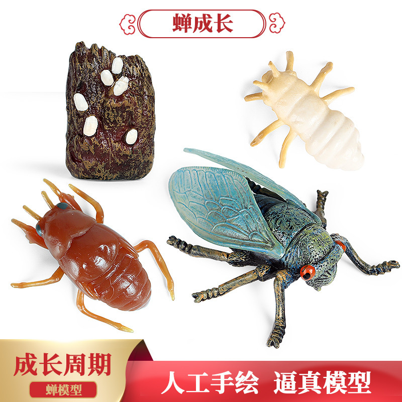 Ciclo de crescimento de insetos simulação modelo Animal ornamentos estáticos sólido inseto cigarra cigarra dourada brinq