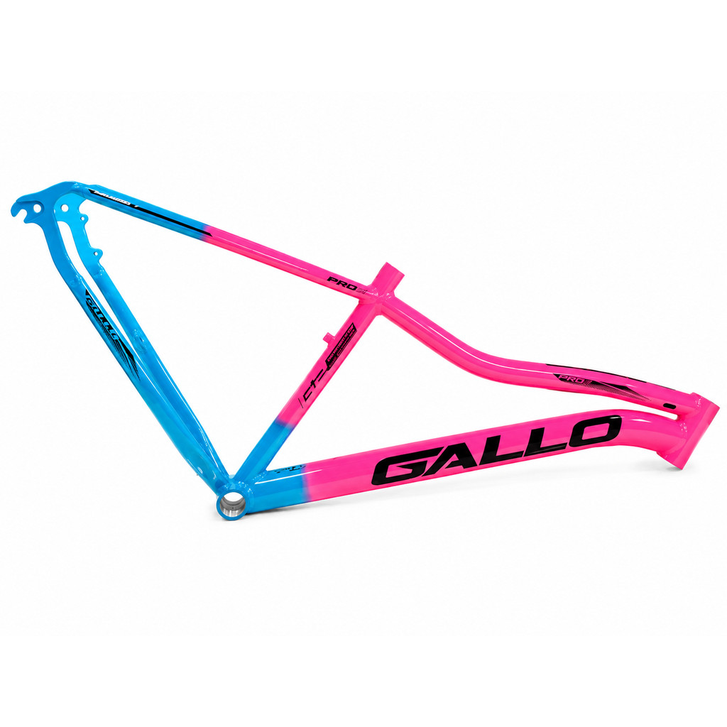 QUADRO 29 GALLO FEMININO BICOLOR AZUL/ROSA CHICLETE ADS.PRETO T15,5