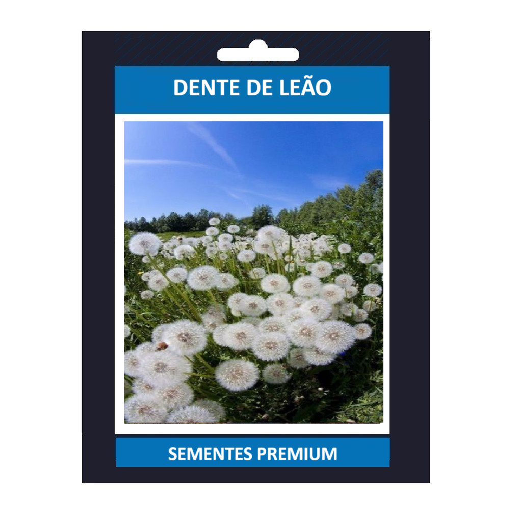 100 sementes dente de leao com manual de cultivo pronta entrega envio 24h II