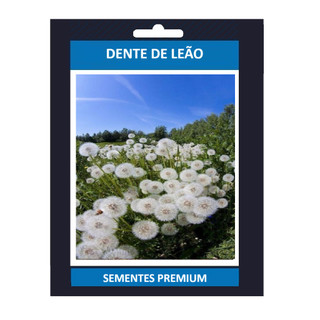 100 sementes dente de leao com manual de cultivo pronta entrega envio 24h II