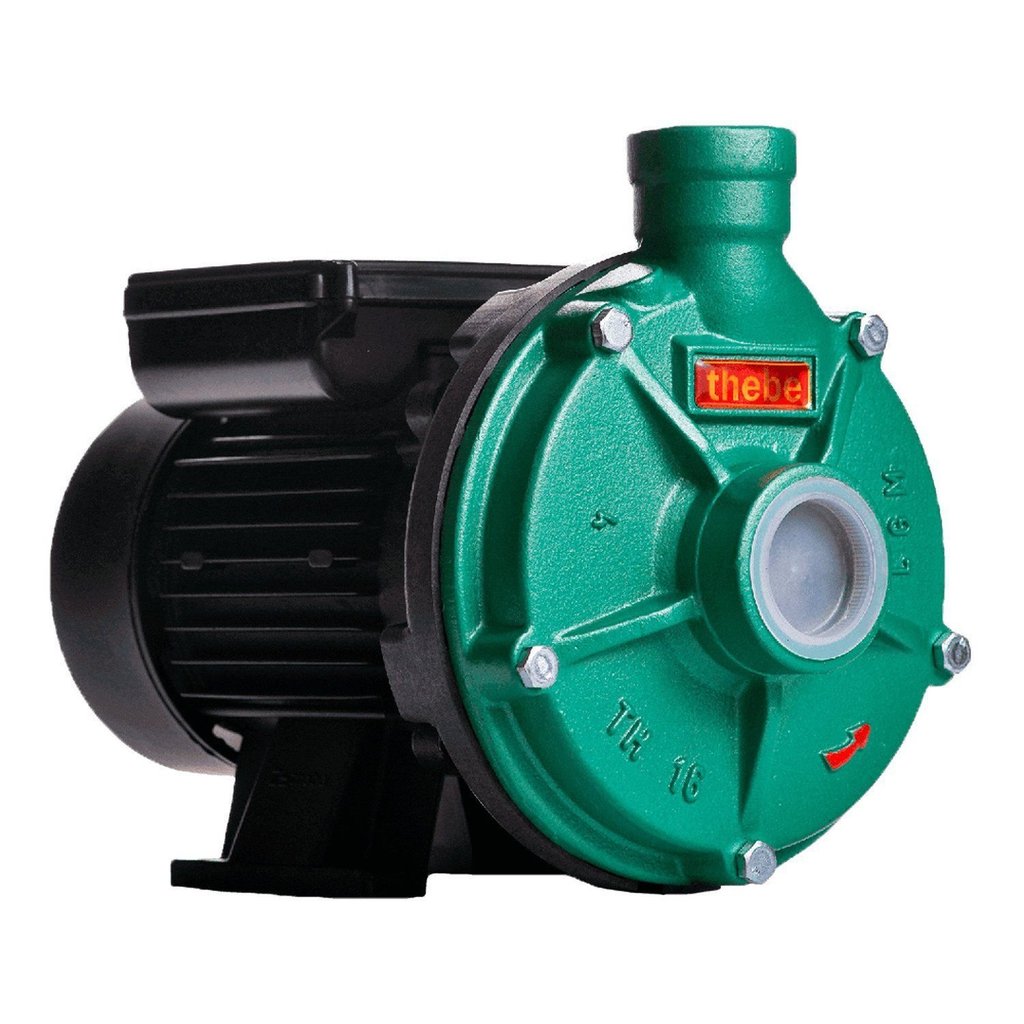 Bomba Th-16 3/4 Cv Rotor Monofásico Motor Thebe IP55 127/220-254V Ebara