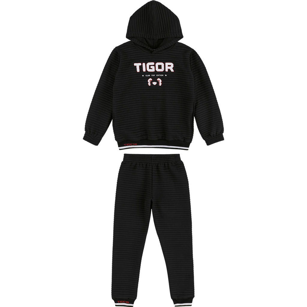 Conjunto Longo Infantil Menino Tigor T. Tigre