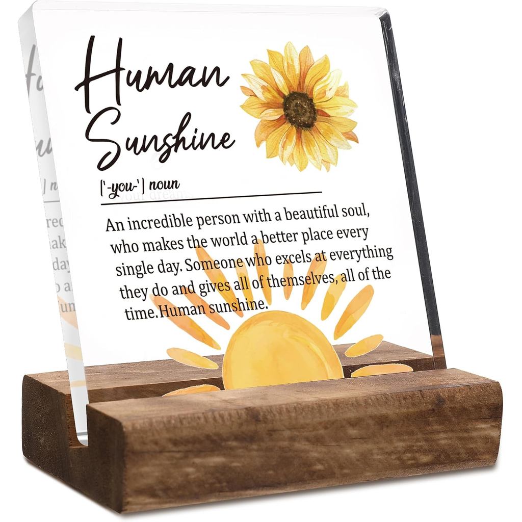 Presentes Inspiradores Human Sunshine, Presentes Motivacionais de Apreciação para Mulheres e Homens, Presentes de Escrit