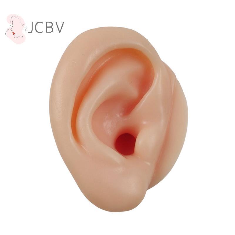 [JCBV] 1/2 Unidades Modelo De Orelha Piing De Ouvido Ensino Dedicado Simulação De Canal Longo Silicone Profundo Prática 
