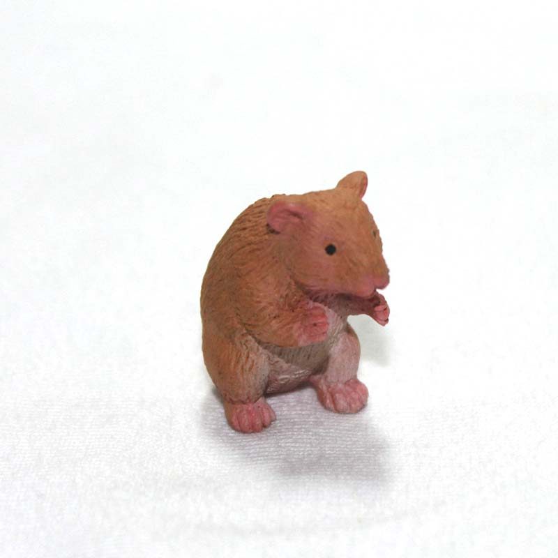 Simulação de Safari modelo de Animal de estimação brinquedo cena decoração Animal selvagem Hamster