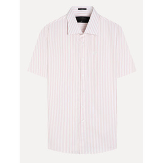 Camisa Ellus Masculina Manga Curta Tricoline Glennwood Stripe Branca em Oferta na Shopee