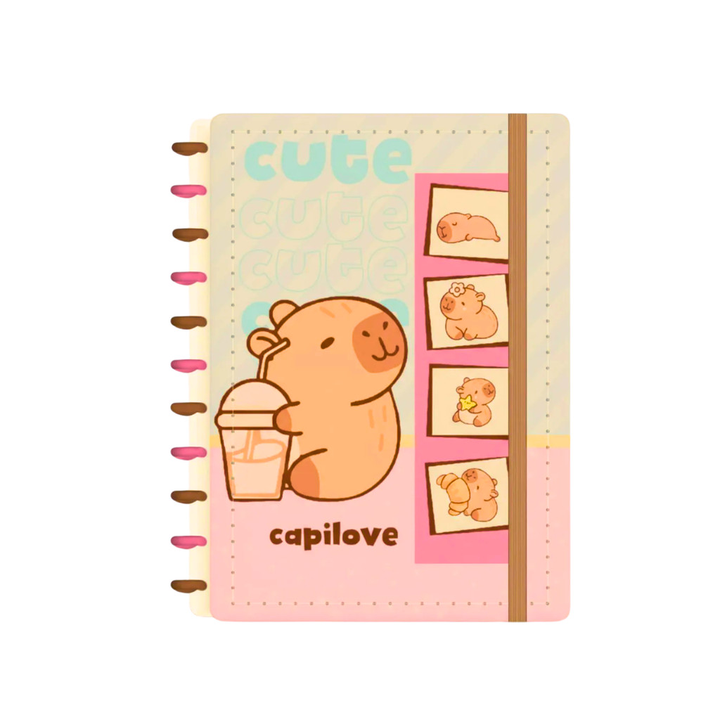 Caderno de Discos Colegial 80 Folhas de 80gr/m² Capilove - Skypaper