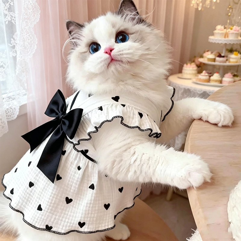Vestido de tecido fino para primavera e verão para gatos sem pelos como Ragdoll e Devon Rex, com laço e saia em formato