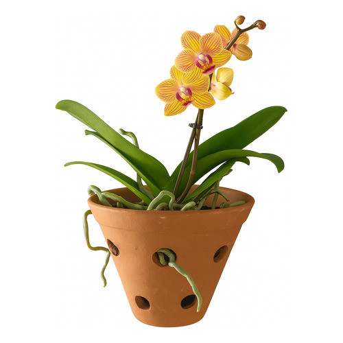 Vaso Cerâmica Artesanal Barro Parede Orquídea Planta 12x15cm Marrom-claro Cerâmico
