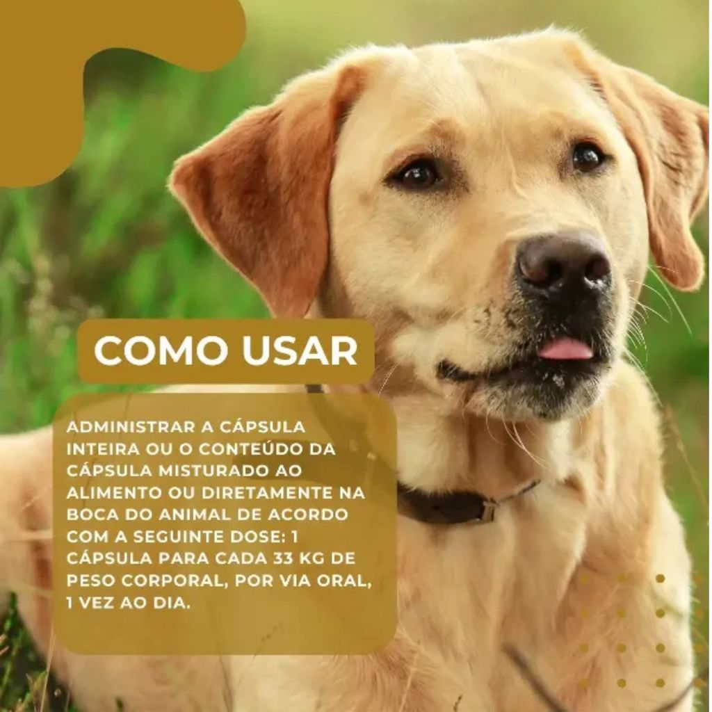 Kit 3 Ograx-3 500 Suplemento Cães Gatos Avert 30 Cápsulas — imagem 2 de 2