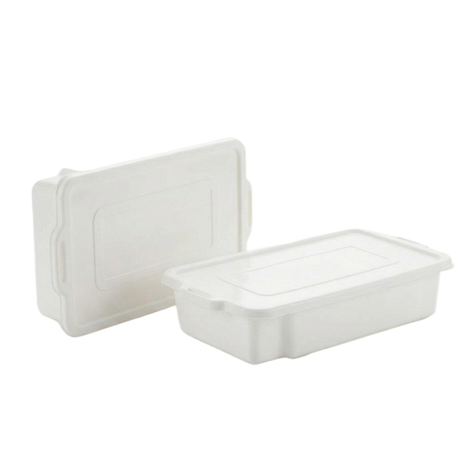Kit 2 Caixas Plásticas 7L Com Tampa Para Churrasco Carnes E Frios Bandeja Organizadora Resistente