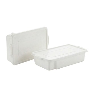 Kit 2 Caixas Plásticas 7L Com Tampa Para Churrasco Carnes E Frios Bandeja Organizadora Resistente