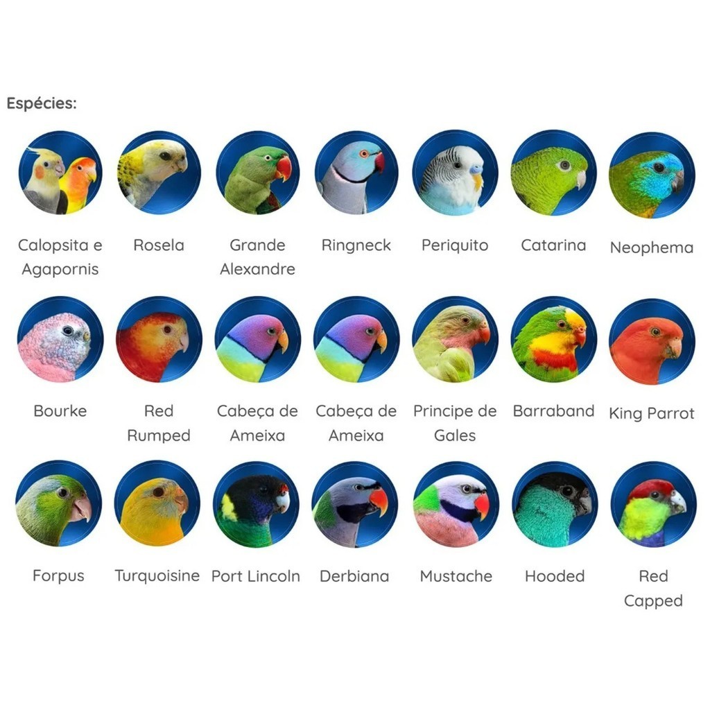 Farinhada Psitacídeos Reprodução Super Premium 300g Nutribiótica Ração Calopsita Ringneck — imagem 2 de 2