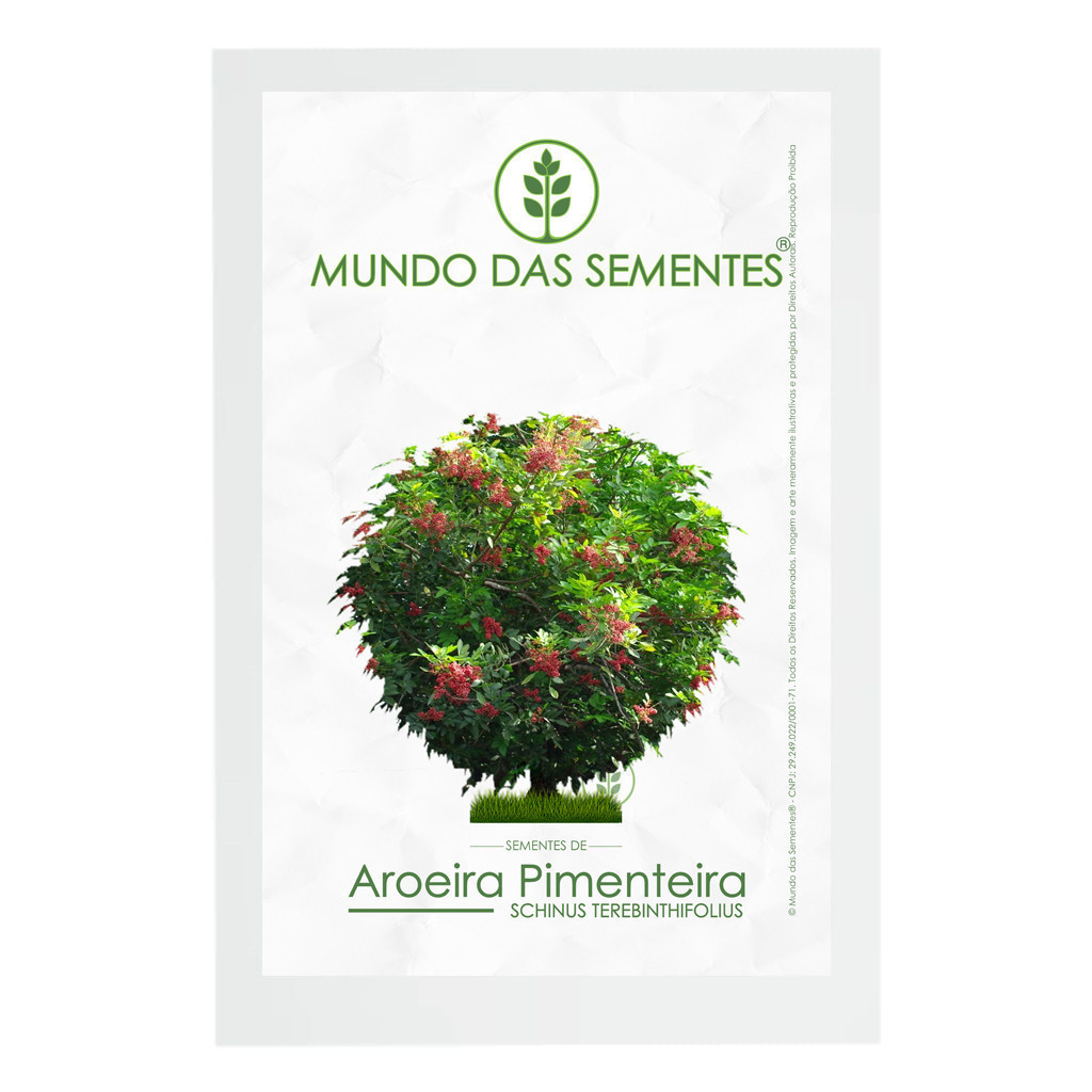 100 Sementes de Aroeira Pimenteira (Pimenta Rosa) Schinus terebinthifolius Premium | Fácil de Germinar