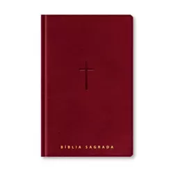 Bíblia Sagrada NVT | Letra Gigante | Índice | PJD | Vinho