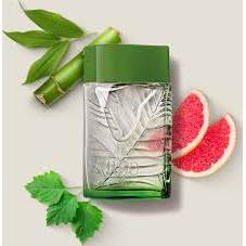O Boticário Arbo Puro Desodorante Colônia 100ml