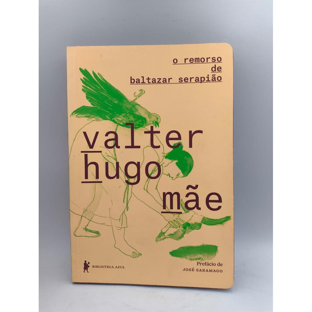 o remorso de baltazar sarapião autor valter hugo mãe