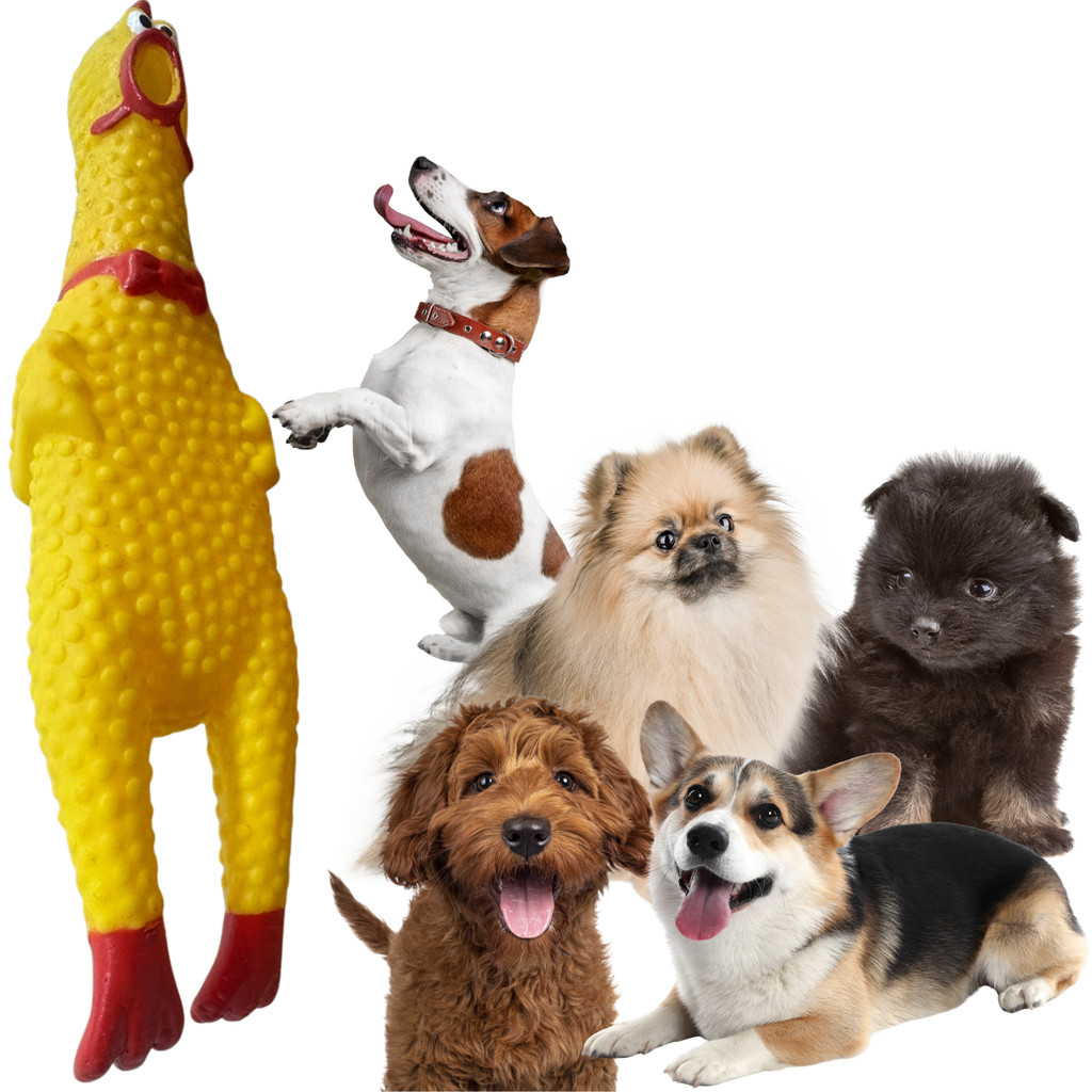 Brinquedo Cães Pet Galinha 15cm Vinil Frango Borracha Apito LUXPET LUX3133
