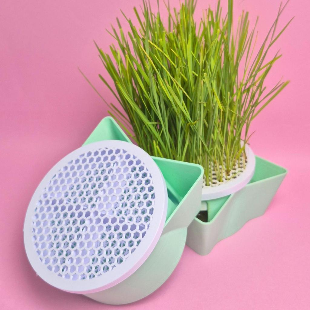 Vaso de Orelhas para Graminha de Gato Vaso Autocultivo Comedouro Grama Pet Autoirrigável Hidropônico