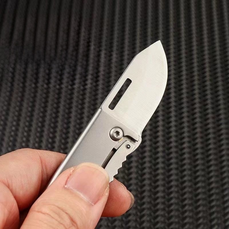 Mini Canivete de Bolso Aço Inox Chaveiro Faca de Fruta Multiuso para Presente Camping Cozinha