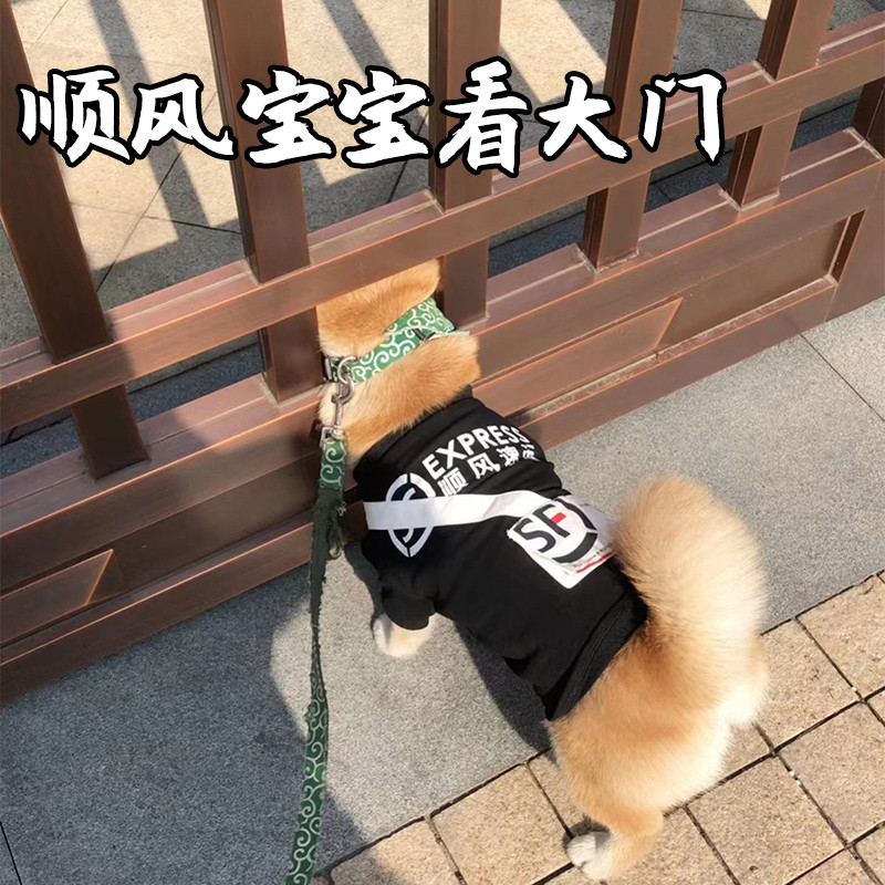 Roupas para cães entrega expressa mochila para viagem fina Shiba Inu Corgi Bichon Yorkshire filhotes animais de estimaçã