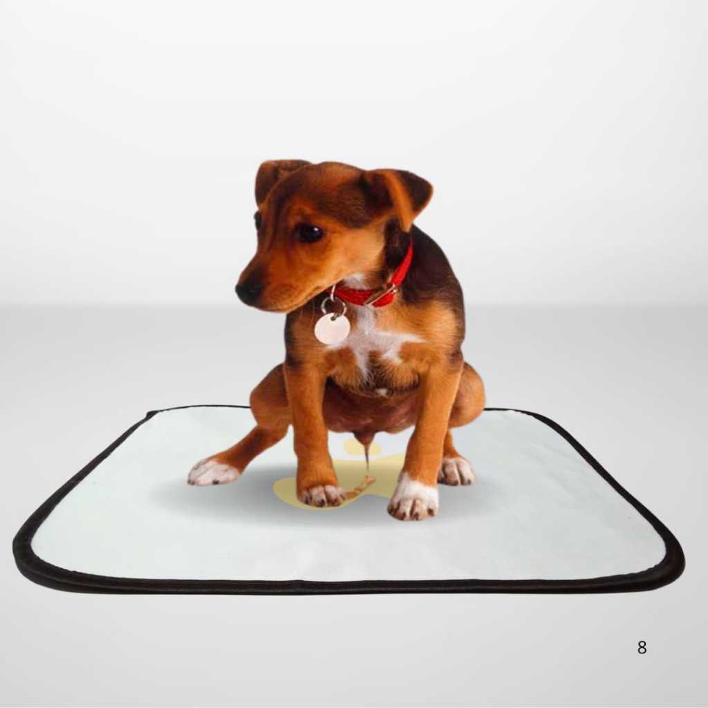 kit 2 tapete lavável Pet, cães , cachorros, não vaza xixi pet reutilizável