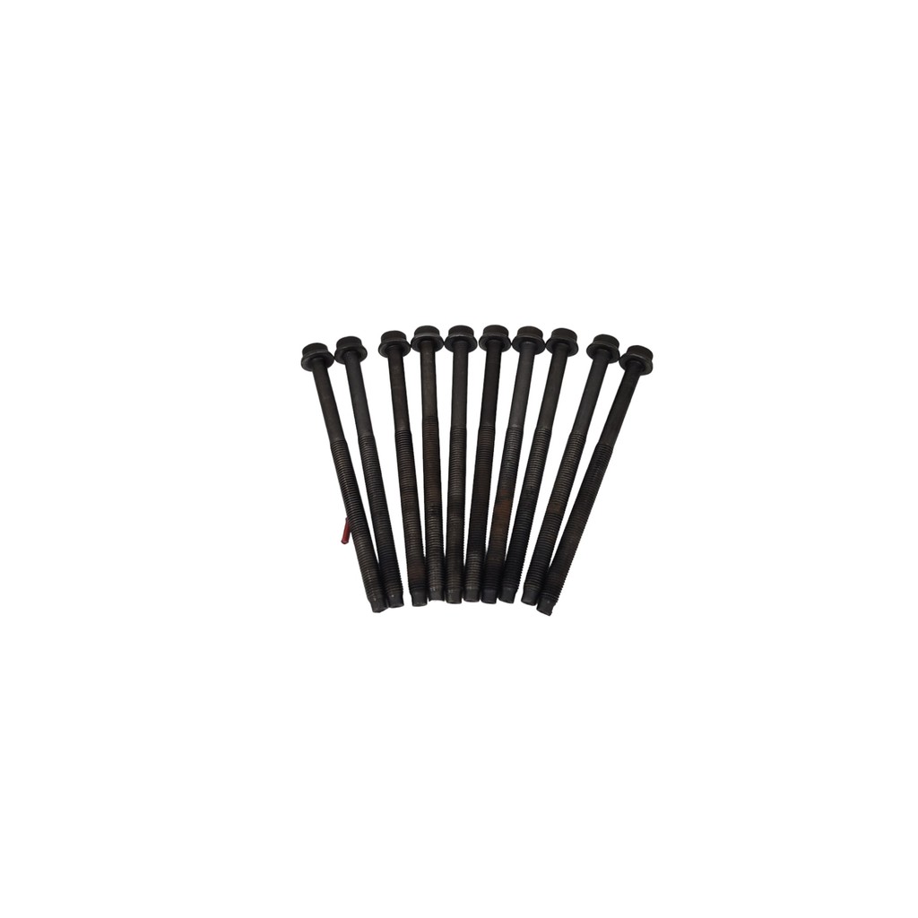 Jogo 10 Parafusos De Cabeçote Motor Zetec Rocam 1.0 Usados
