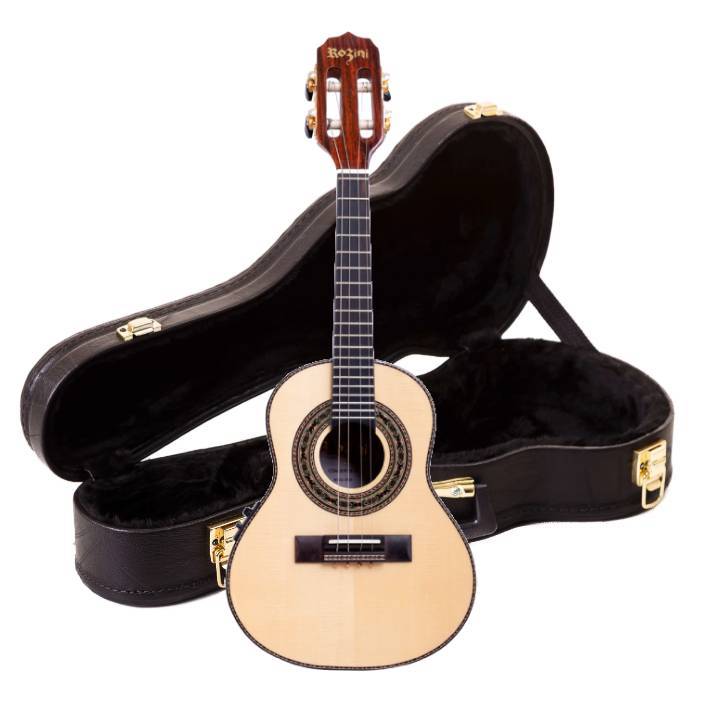 CAVACO ROZINI CONC. RC06.AT.N.J FISHMAN PRESYS II NAT C/CASE