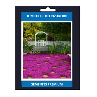 EXCLUSIVO Promoção De 100 Sementes De Tomilho Roxo Rasteiro Ervas Premium T1