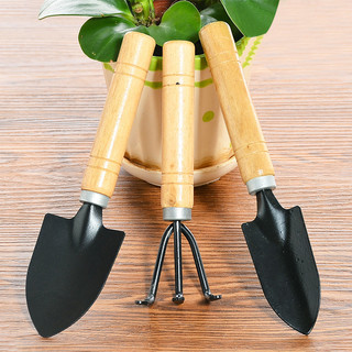 Ferramentas de plantio de flores Conjunto doméstico Plantio de vegetais Plantio de flores Pá suculenta Afrouxamento Anci