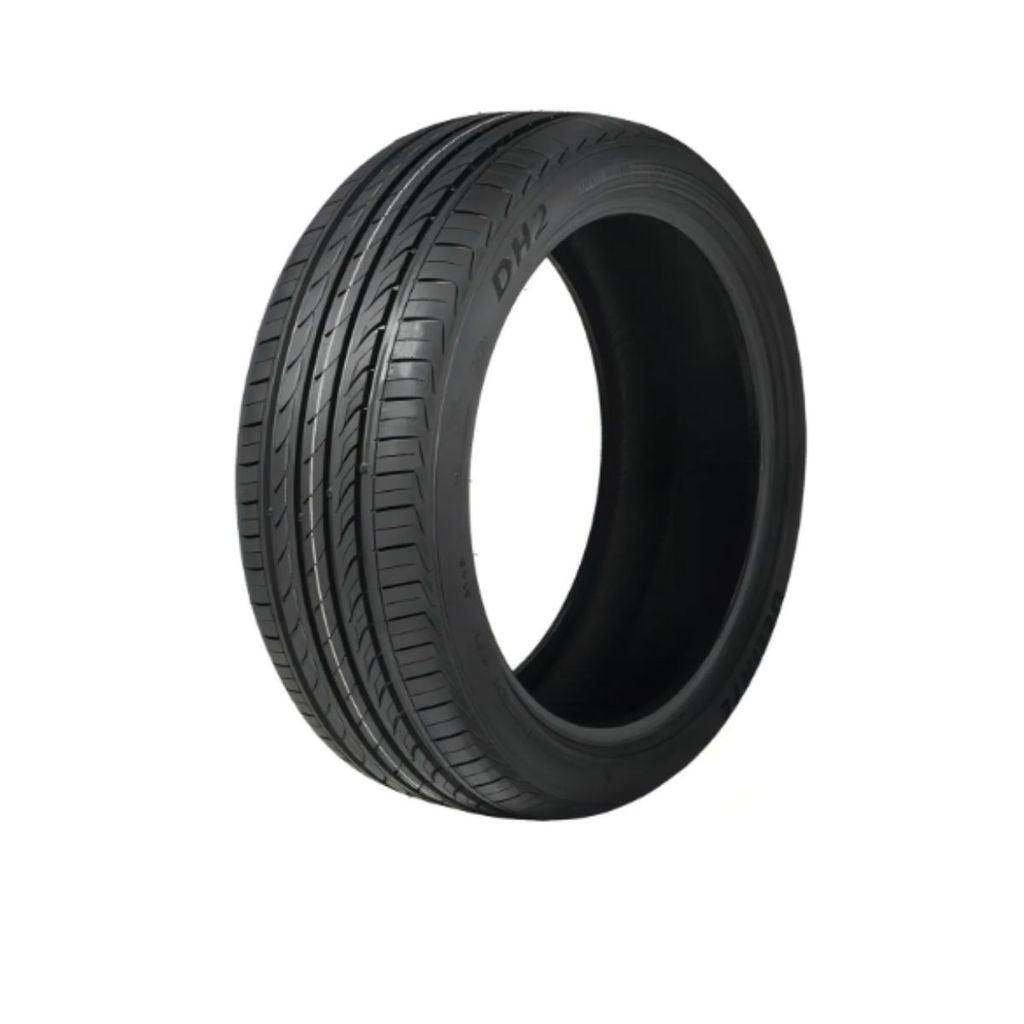 Delinte DH2