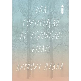 Livro Uma Constelação De Fenômenos Vitais de Anthony Marra, Tradução Fabiana De Carvalho 7979773