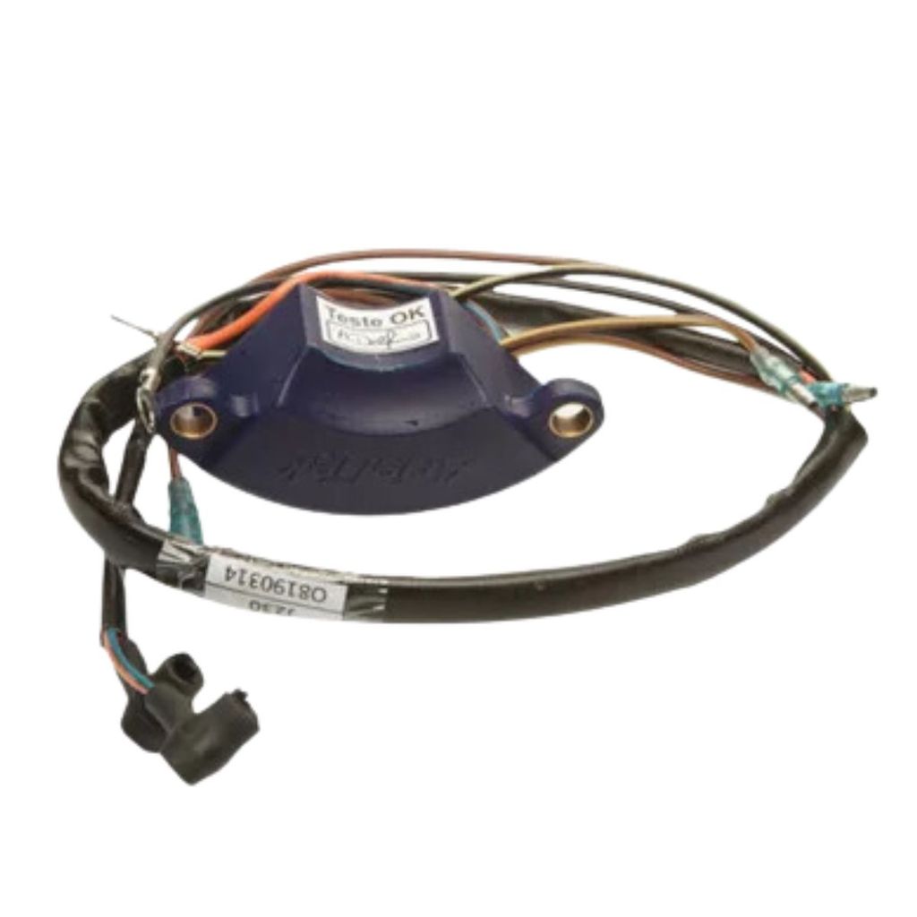 CDI CAIXA IGNIÇÃO P/ MOTOR POPA JOHNSON EVINRUDE 25 À 50HP ARIELTEK