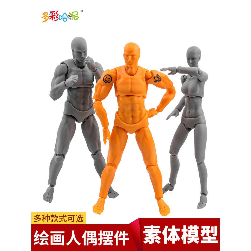 Corpo figma modelo grade fixa animação homens mulheres corpo figura arte corpo modelo pintura boneca ornamentos