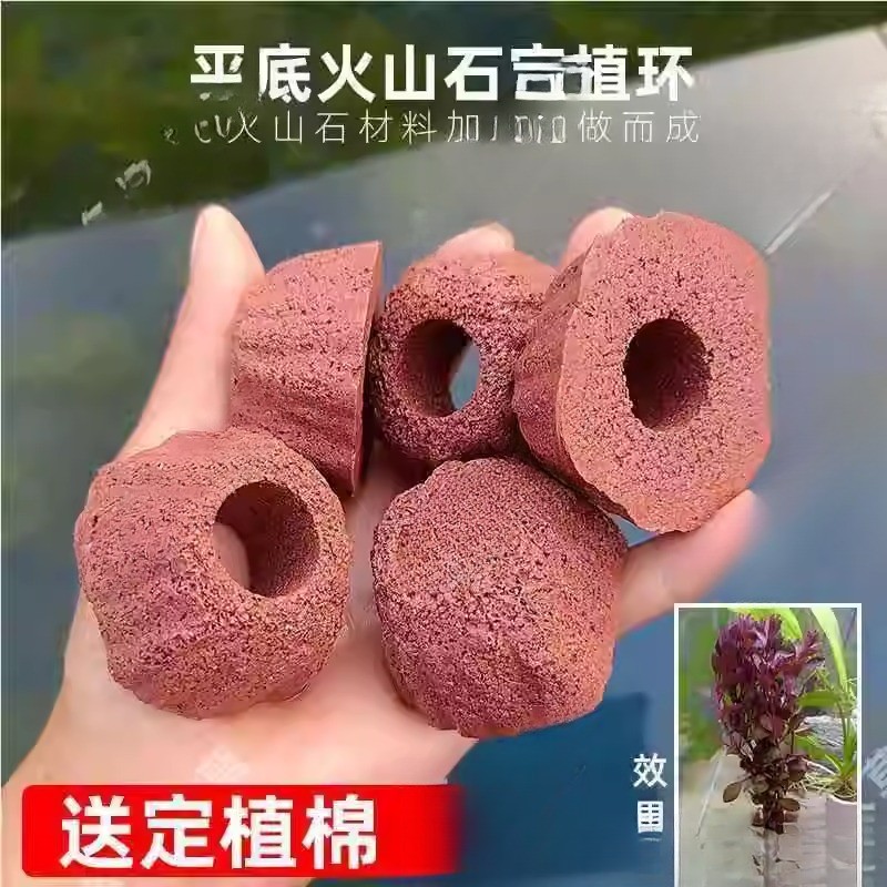 Pedra vulcânica de fundo plano, anel de fixação de plantas aquáticas, cerâmica, planta aquática, ferramenta útil, pedra