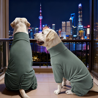 Pijama de alta qualidade para cães de quatro patas, de cor sólida e gola alta, disponível em 7 tamanhos, confortável e e