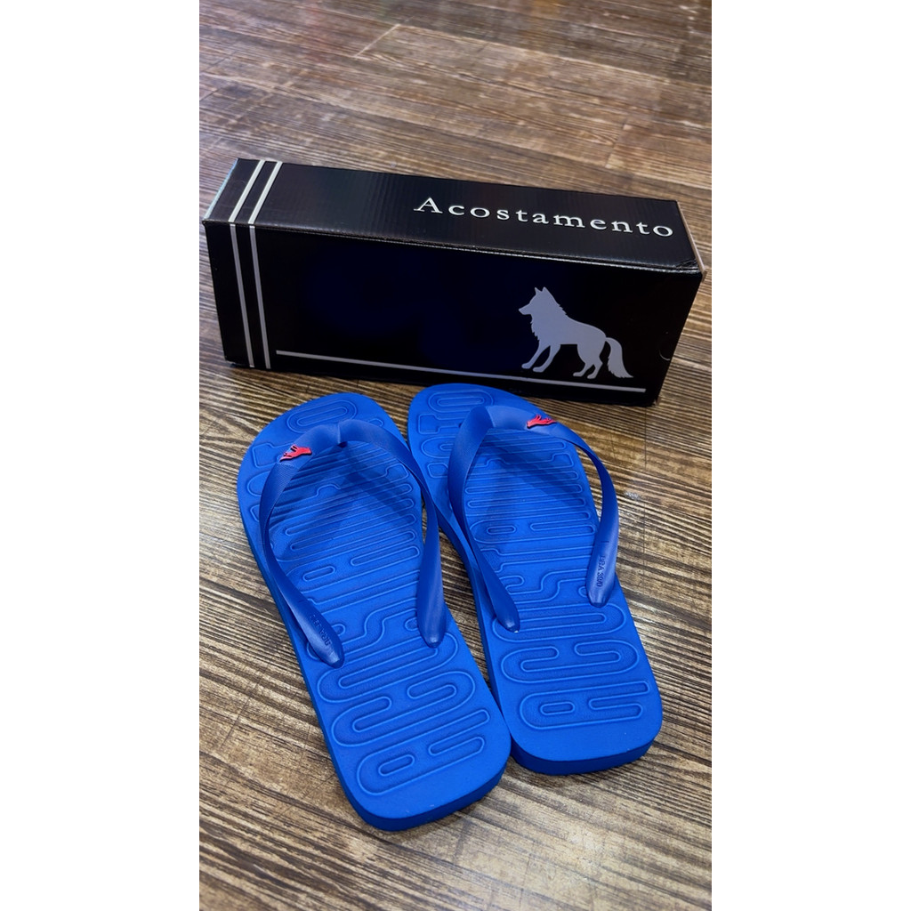 Chinelo Masculino Acostamento Logo Alto Relevo - Azul