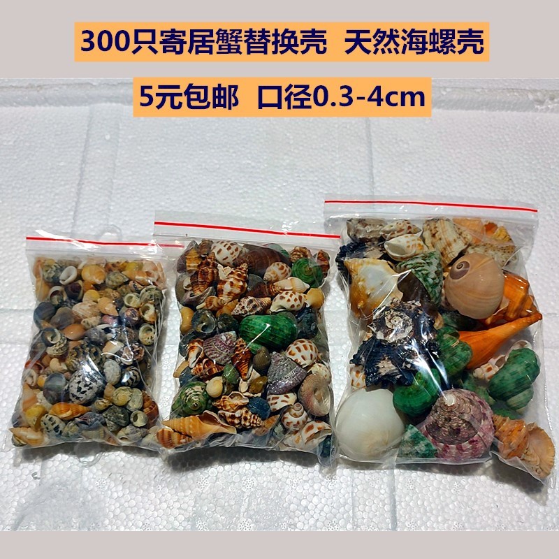 Substituição de casca de caranguejo eremita 1-3cm concha Natural tanque de peixes ajustar dureza da água valor ph bactér