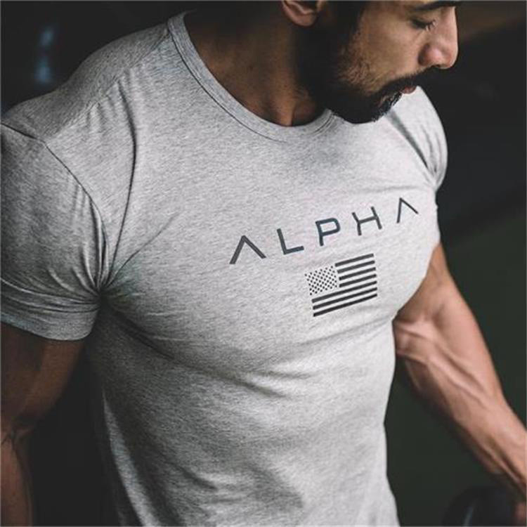 Alfa t camisa de Fitness Wear verão masculino esportes lazer correndo treinamento de secagem rápida camiseta de manga cu