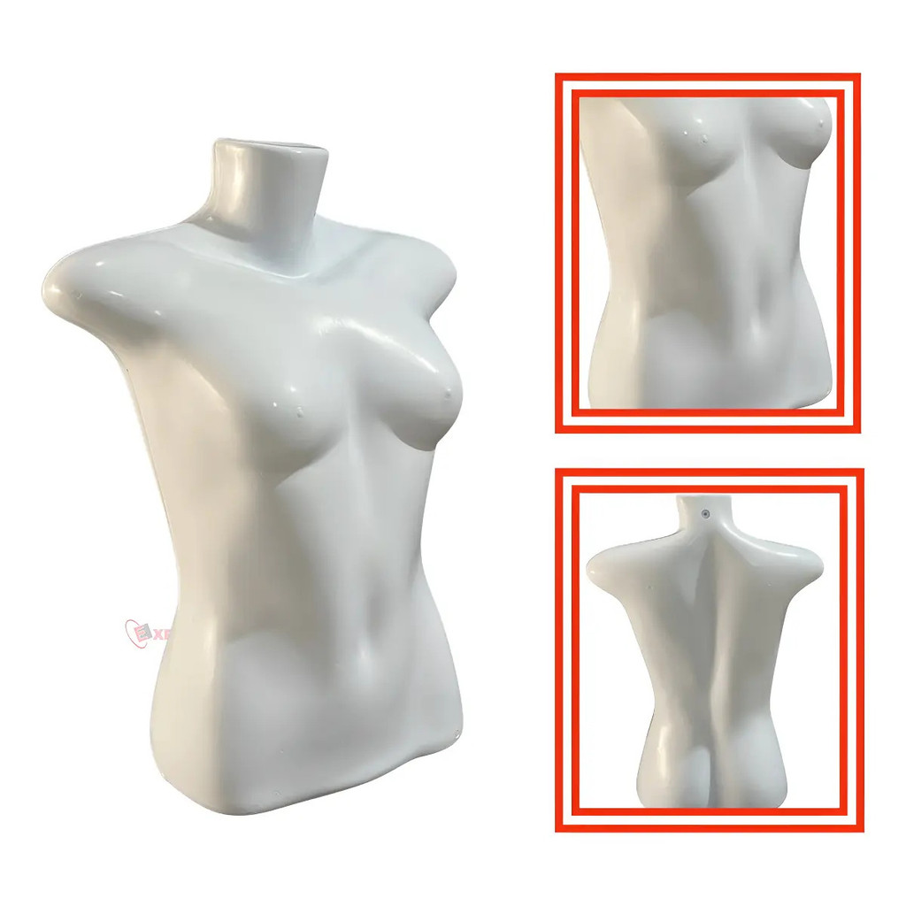 Manequim Feminino Adultos Busto Exposival Branco