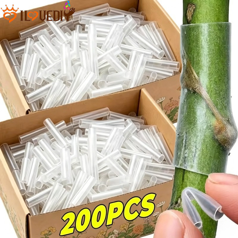200/50 Unidades De Mangas Para Enxerto De Árvores Frutíferas-Clipes Elásticos Tubos De Mudas De Flores-Invólucros Galhos