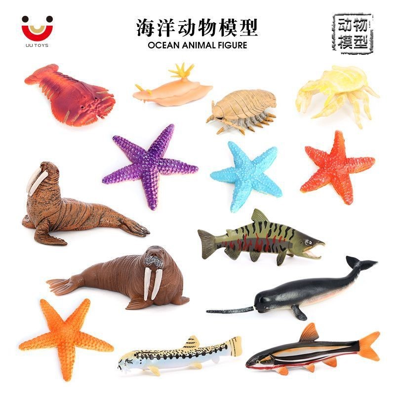 Brinquedos infantis simulação Animal marinho modelo morsa mar Slugs Pipa camarão grande Mahach auxiliares de ensino cogn