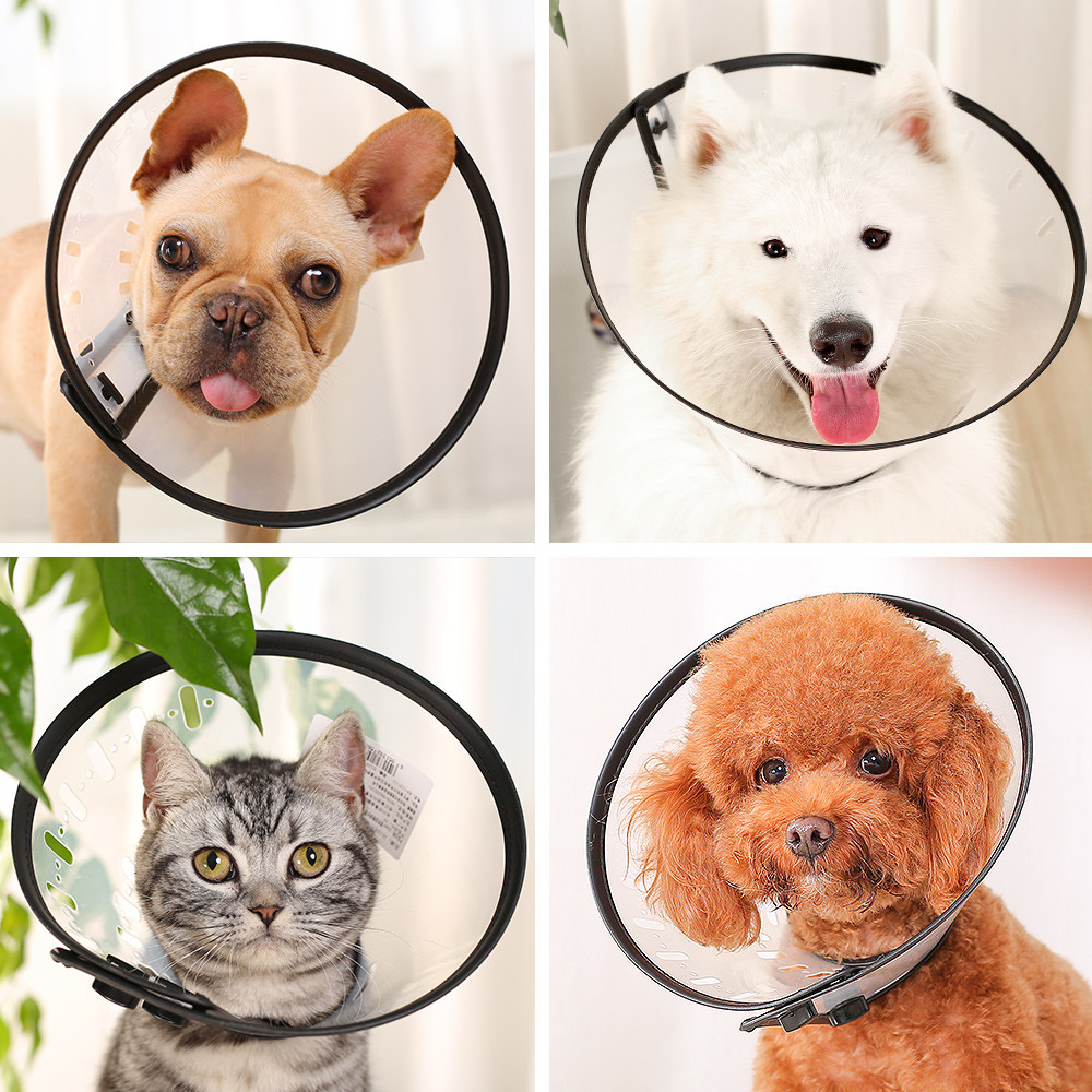 Capa protetora para animais de estimação, coleira Elizabeth para animais de estimação, Anti-arranhões, coleira para cabe