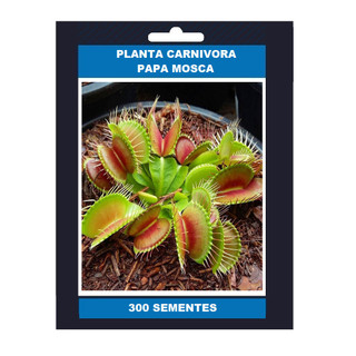 200 Sementes Premium Planta Carnívora Dionaea Muscipula Papa Mosca Dengue