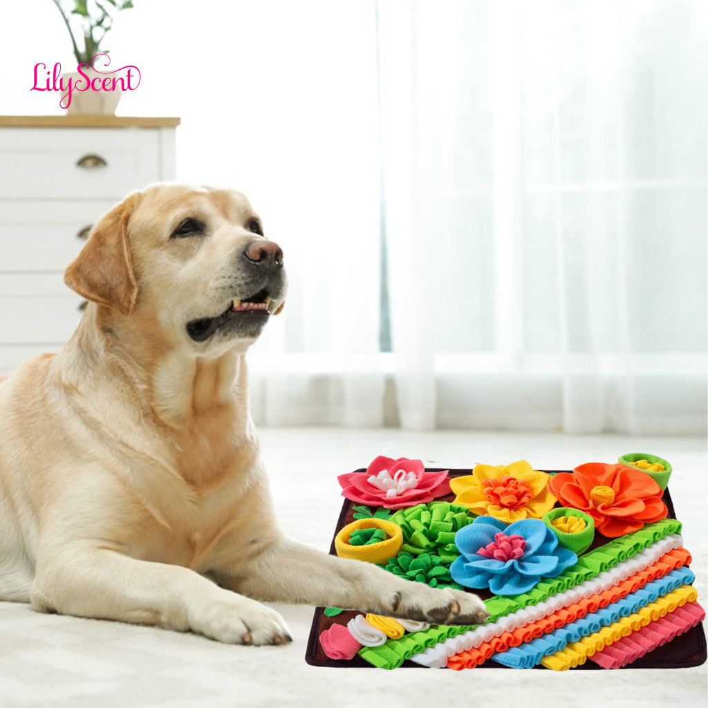 Pet Snuffle Pad Canine Mental Health Aid Dog Mat Slow Feeder Puzzle Toy – Treat Licking for Feeding Stimulation and Ea