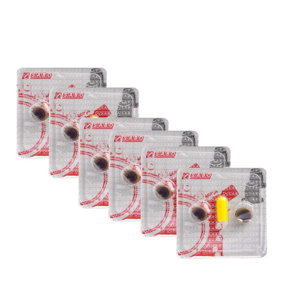 KIT/6 RETENTOR HASTE VAVULA ESCAPE MOTOR D229 X10 SABO 02927