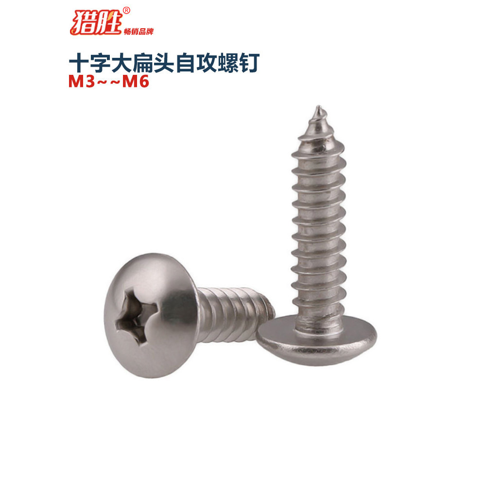 M3M4M5M6cm 316 aço inoxidável grande cabeça plana parafusos auto-roscantes cabeça de guarda-chuva cruz madeira auto-alim